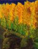 Herbst von Barbara Mller